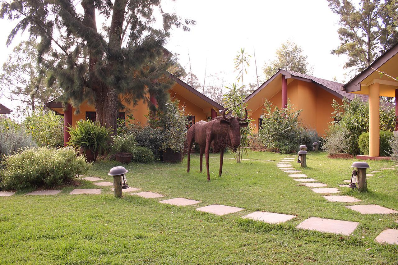 Le Rustique Hotel Нанюки Стая снимка